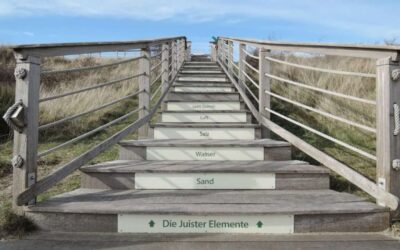 Die 5 – Juister – Elemente